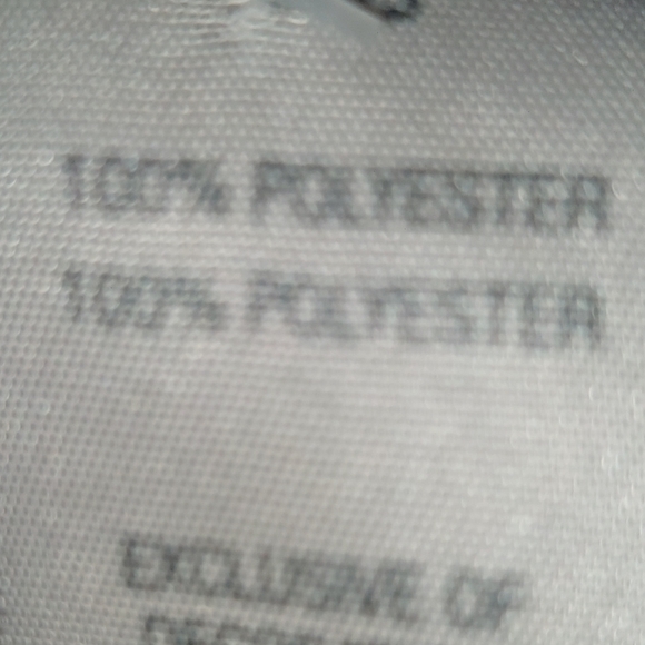 3/$5 Champion Loose Women's Large Short Sleeve Tee - Vibrant Blue - Picture 4 of 4